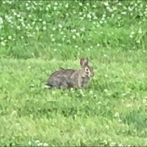 Meet your Posher, Sierra